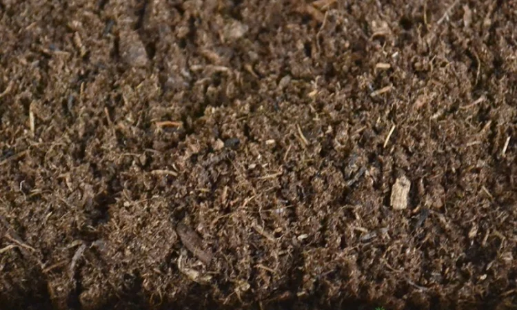 Торф верховой оптом купить по цене завода изготовителя (беларусь) - фото № 11