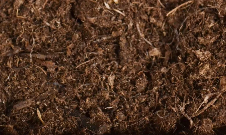 Торф верховой оптом купить по цене завода изготовителя (беларусь) - фото № 13