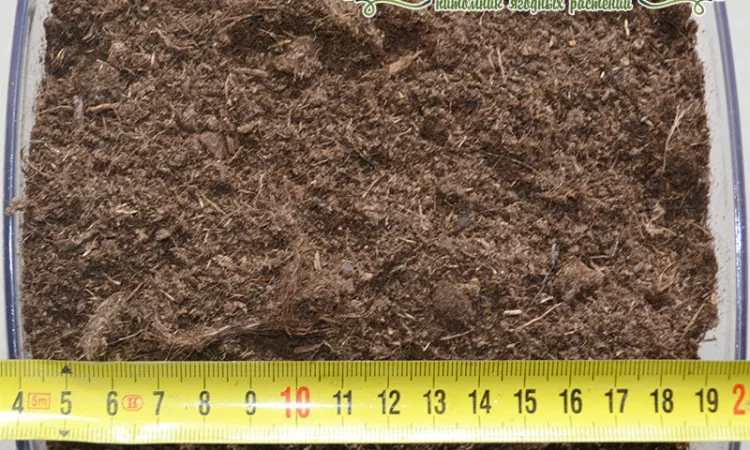Торф верховой оптом купить по цене завода изготовителя (беларусь) - фото № 5