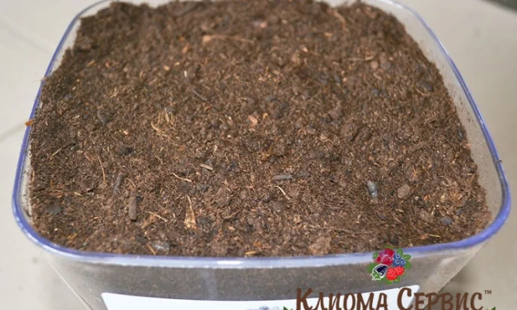 Верховой торф в мешках по 250 литров - фото № 12