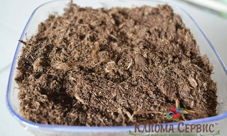 Верховой торф в мешках по 250 литров - фото № 6