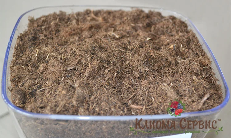 Верховой торф в мешках по 250 литров - фото № 7