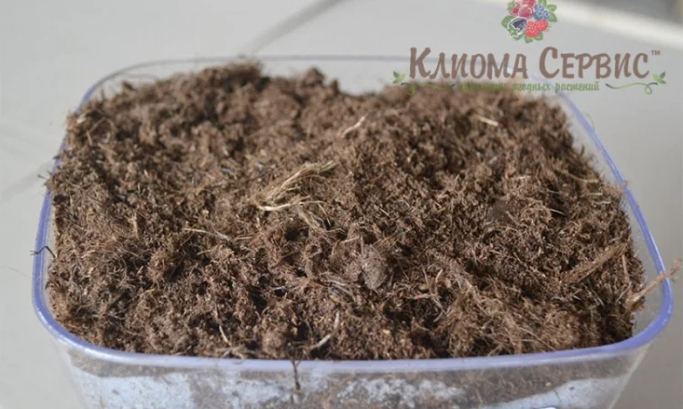 Верховой торф в мешках по 250 литров - фото № 8