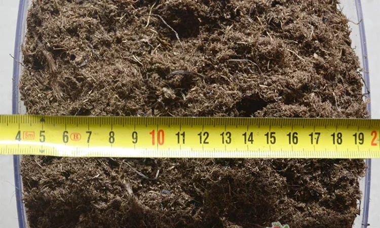 Торф верховой для растений в кипах 3.5 тис. литров оптом (Беларусь) - фото № 4