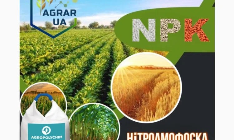 NPK 15:15:15+10S Болгарія - фото № 1