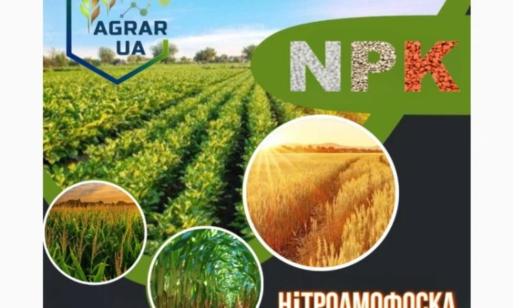 NPK 12-24-12, NPK 4:20:20, NPK 15:15:15, NPK 8:24:24, NPK 6:24:12 - фото № 1