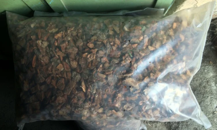 Кора мульча щепа Киев Кора сосновая Киевская область - фото № 7