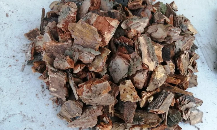 Кора мульча щепа Киев Кора сосновая Киевская область - фото № 4