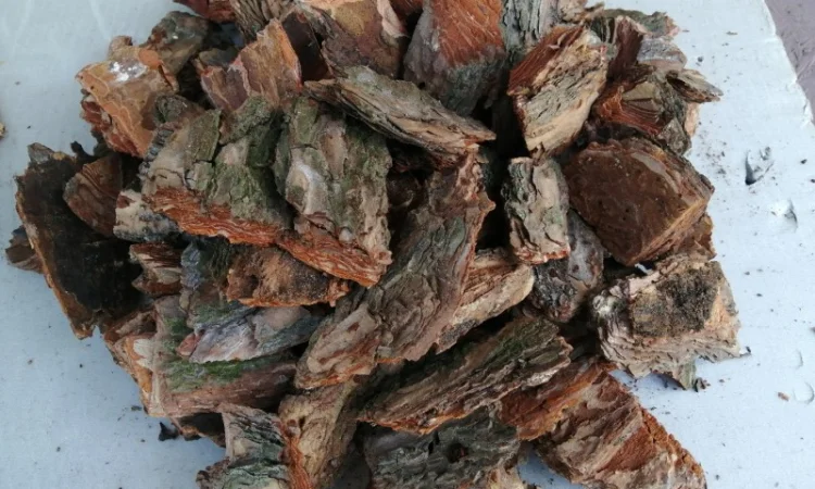 Кора мульча щепа Киев Кора сосновая Киевская область - фото № 6