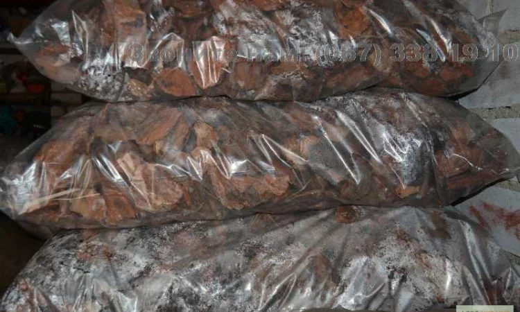 Кора сосновая Мульча Киевская область Киев - фото № 4