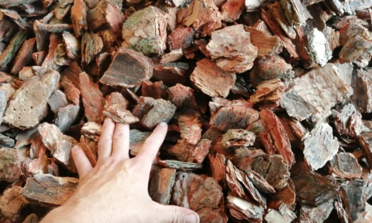 Кора соснова для мульчування в Києві - фото № 1