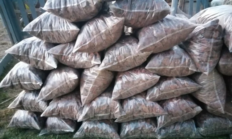 Кора соснова для мульчування в Києві - фото № 4