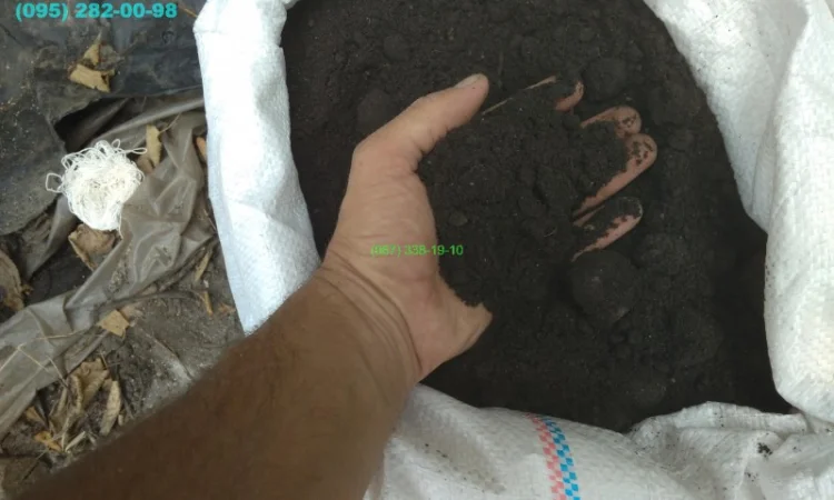 Торф низинный купить Киев Торф в мешках Низинный торф Киев Торф Киев доставка - фото № 3