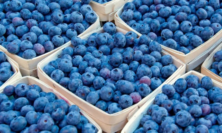 Торф верховой купить Киев Торф кислый Киевская область Торф для голубики рыжий продажа - фото № 4