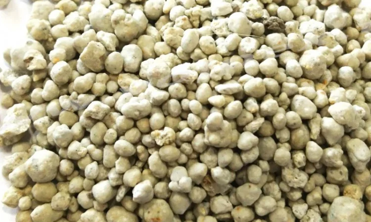 Сульфат магнію Siarkopol MgO - 23%, SO₃ - 33% B, Zn - фото № 1