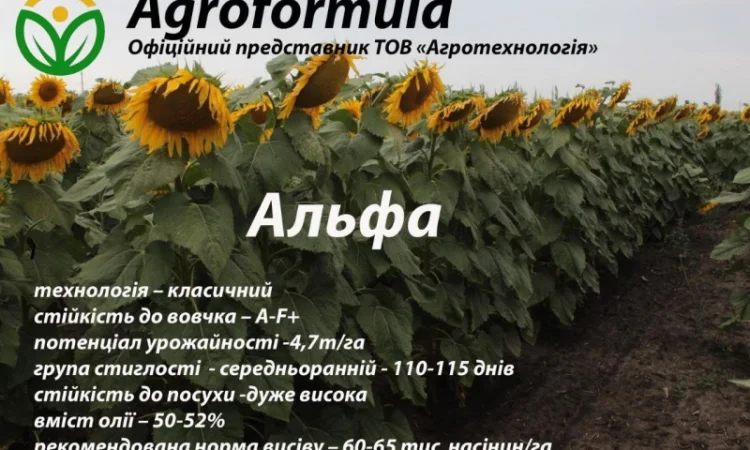 Торгова марка Агроформула пропонує вам насіння соняшнику, мінеральні добрива, та ЗЗР - фото № 2