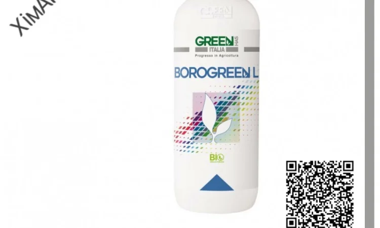 ТОВ ХімАгроСтеп пропонує - Borogreen L (Добриво Green Has Italia) - фото № 1