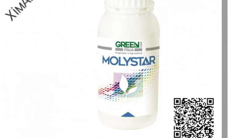 ТОВ ХімАгроСтеп пропонує - Molystar (Добриво Green Has Italia) - фото № 1