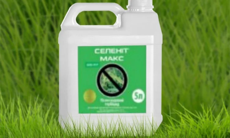 Гербіцид Селеніт, КЕ (аналог Селект) д.р. Клетодим, 240 г/л - фото № 1