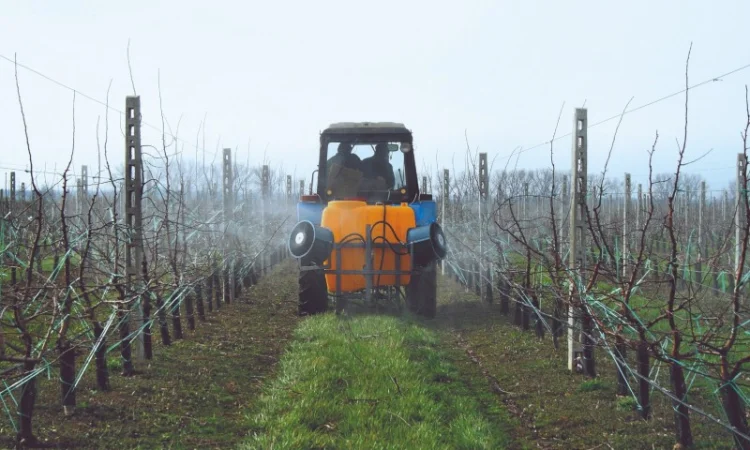 Покупаем остатки средств защиты растений для собственных нужд - фото № 1