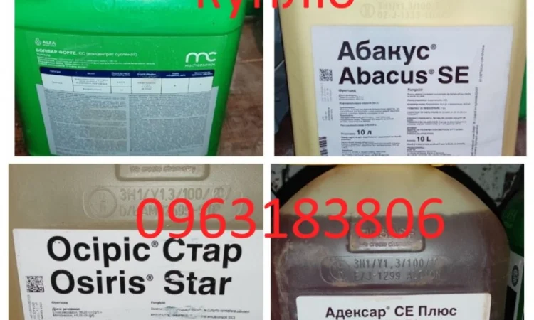 Куплю Осирис Стар, Пиктор, Полирам, Превикур Энерджи, Пропульс, Реву - фото № 1