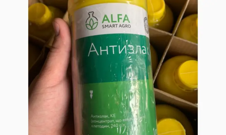 Антизлак - післясходовий грамініцид для знищення одно і багаторічних злакових бур’янів - фото № 1