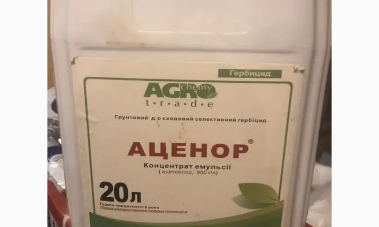 Аценор - гербіцид проти бур’янів у посівах соняшнику, сої та кукурудзи - фото № 1