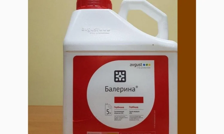Балерина - системний гербіцид проти бур'янів в посівах зернових, кукурудзи, проса, сорго - фото № 1