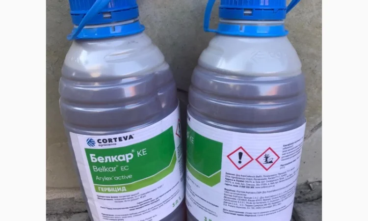 Белкар - післясходовий гербіцид для осіннього застосування у посівах ріпаку озимого - фото № 1