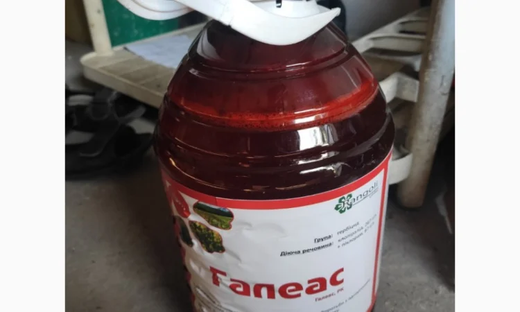 Галеас (аналог Галера) - Ефективний гербіцид проти бур’янів в посівах озимого ріпаку - фото № 1