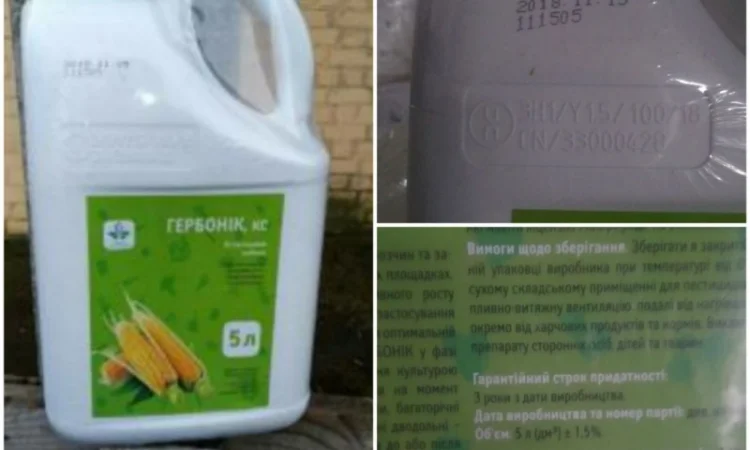 Гербонік - відмінний гербіцид для боротьби із злаковими бур'янами в посівах кукурудзи - фото № 1