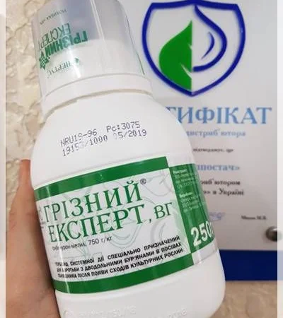 Гербицид Грізний Експерт для борьбы с двудольными сорняками в посевах подсолнечника - фото № 1