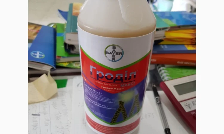 Гроділ Максі - ефективний гербіцид для захисту кукурудзи та зернових - фото № 1