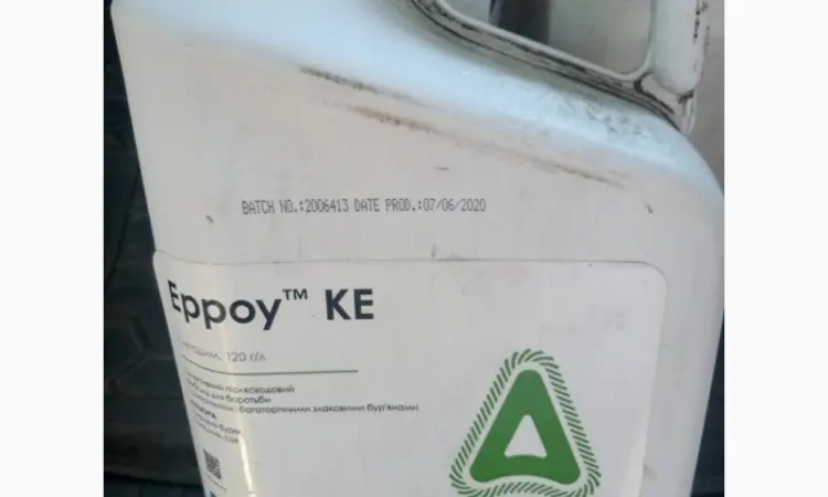 Ерроу - селективний післясходовий гербіцид від бур'янів в посівах сої - фото № 1