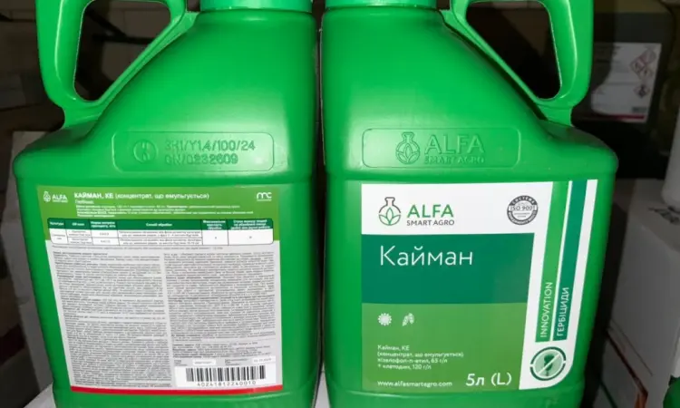 Kaймaн - Инновационный двокомпонентный гербицид против комплекса злаковых сорняков - фото № 1