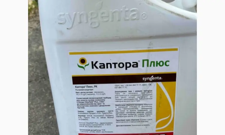 Каптора плюс - ефективний гербіцид для контролю бур'янів у посівах соняшнику - фото № 1