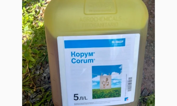 Корум - Двокомпонентний гербіцид для захисту сої та гороху від комплексу бур'янів - фото № 3