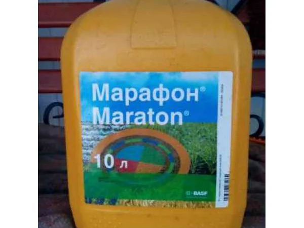 Марафон - гербицид для защиты посевов зерновых культур - фото № 1