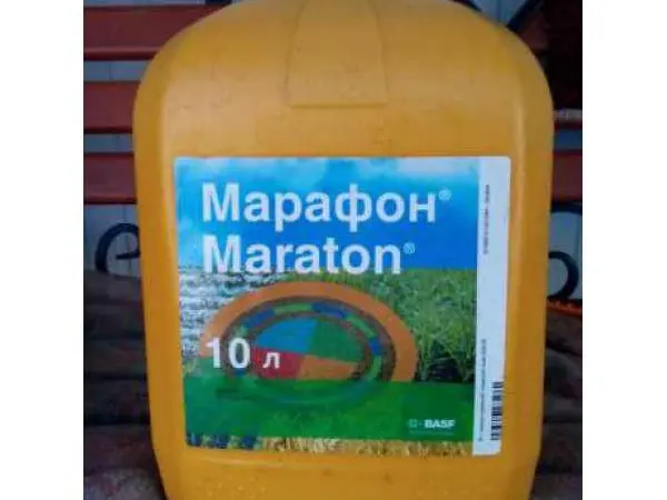 Марафон - гербицид для защиты посевов зерновых культур - фото № 1