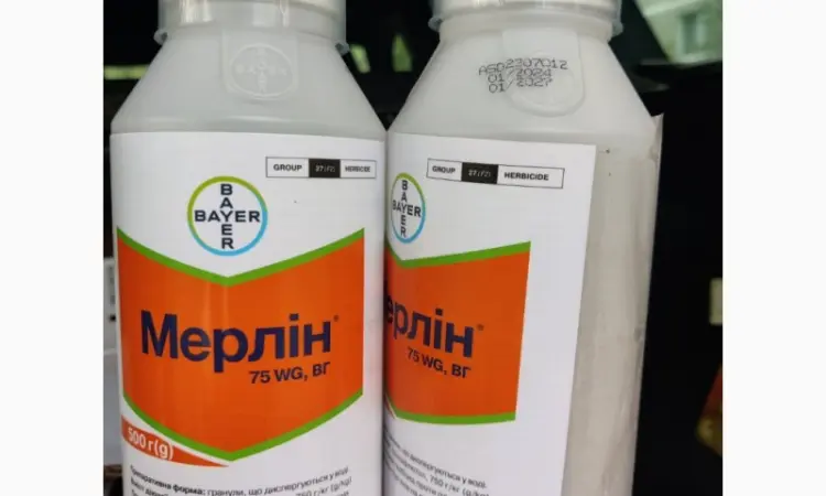 Мерлин Флекс Дуо - Системно-контактный гербицид для контроля сорняков в посевах кукурузы - фото № 3
