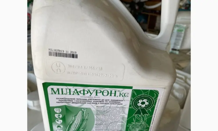 Мілафурон - післясходовий гербіцид для знищення бур’янів у посівах кукурудзи - фото № 1