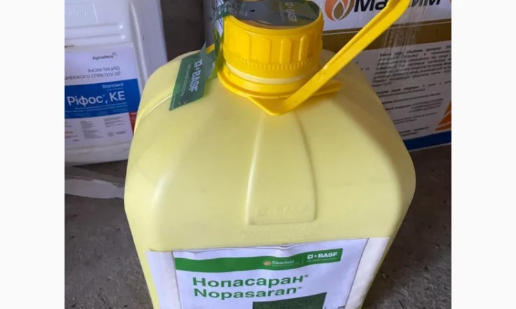 Нопасаран - контроль широкого спектра сорняков в посевах рапса - фото № 2