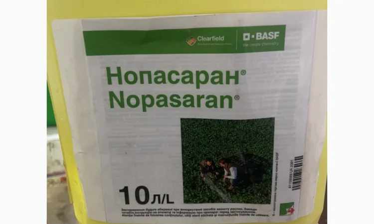 Нопасаран - контроль широкого спектра сорняков в посевах рапса - фото № 1
