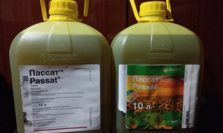 Пассат - гербіцид для боротьби з бур’янами в посівах соняшнику - фото № 2