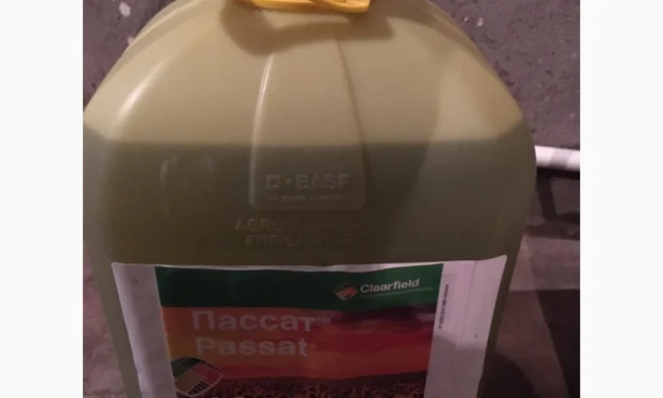 Пассат - гербіцид для боротьби з бур’янами в посівах соняшнику - фото № 1