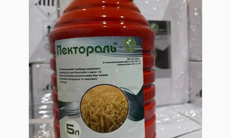 Пектораль - селективный гербицид от сорняков в посевах кукурузы - фото № 1