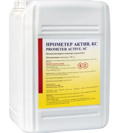 Прометер Актив - фото № 1