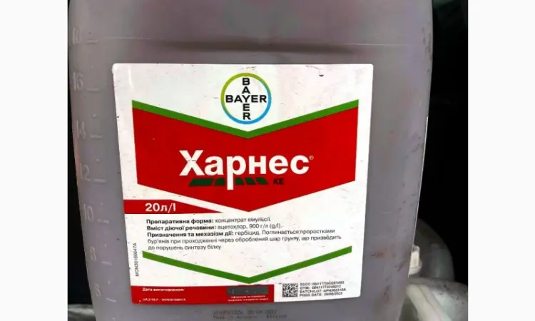 Харнес - гербицидный эталон в грунтовой защите кукурузы - фото № 1