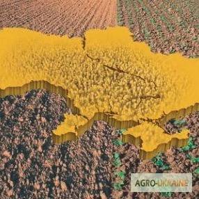 Бутизан авант по рипаку - фото № 1