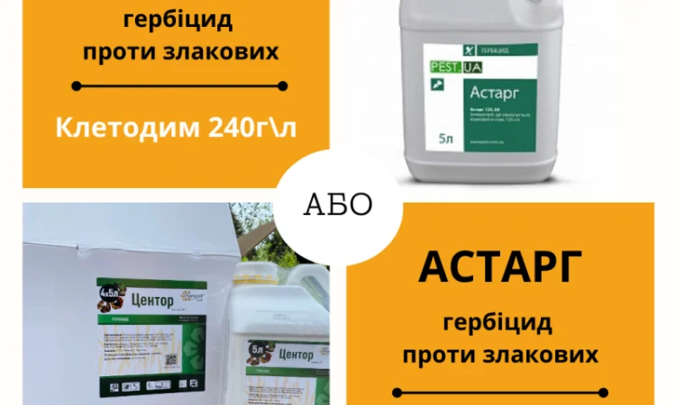 Гербіцид (грамініцид) проти злакових бур'янів - фото № 1